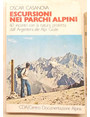 Escursioni nei parchi alpini. 60 incontri con la natura protetta dallArgentera alle Alpi Giulie.