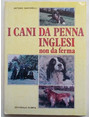 I cani da penna inglesi non da ferma. (Spaniels e Retrievers).